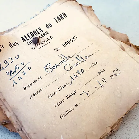 Domaine De Perches 住宿加早餐酒店 盖亚克